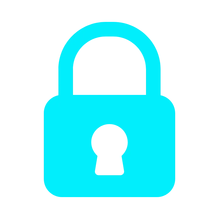 Enterprise Security